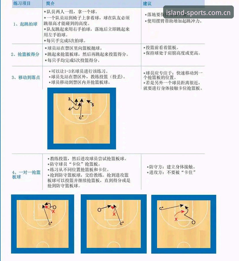 BDTY体育平台评测：5个新手必知的实用技巧与完整使用指南